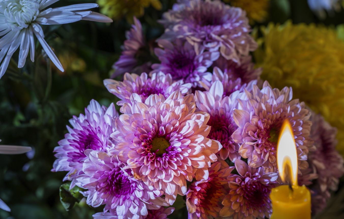 Getting the message right a guide for funeral flowers or sympathy cards Beechwood